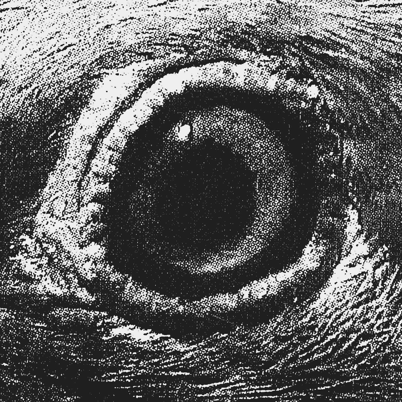 Photo of a close up pigeon eye&comma; with photocopy texture